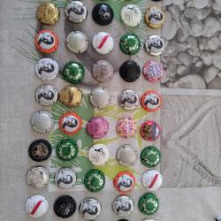 50 capsules de champagne