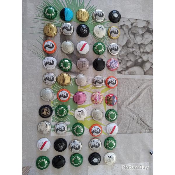 50 capsules de champagne