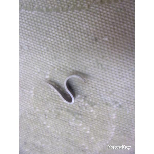 ressort  de  pistolet Le Fran�ais Manufrance (canon basculant)