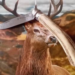 Couteau de poche pliant Opinel 8 bois de cerf