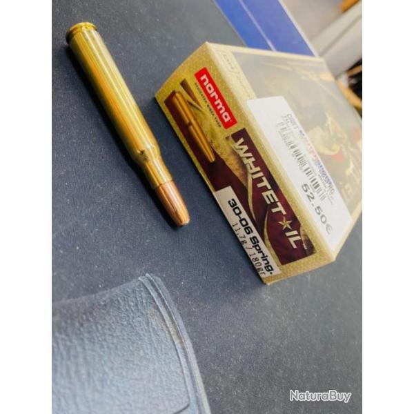 Balles Norma Whitetil 300 Win Mag 180 grains 11.0 gr