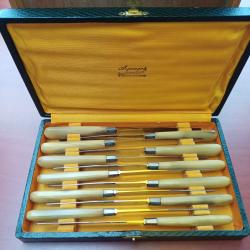 Ancien et rare service de 12 couteaux &agrave; dessert en corne ARGOUGES / ST BONNET