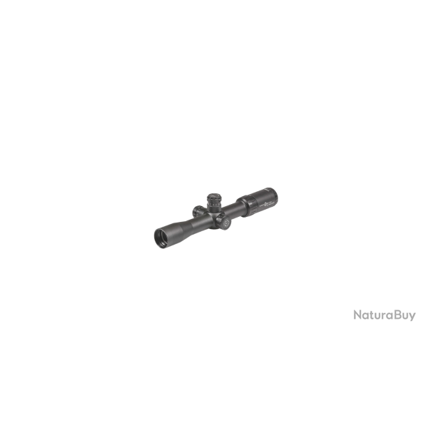 Lunette de tir Core TX 2,5-10x32 DCR .223/.308 BDC Riflescope (Mod�le EXPO)