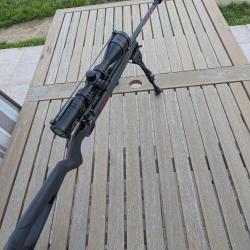 Winchester xpert 22lr