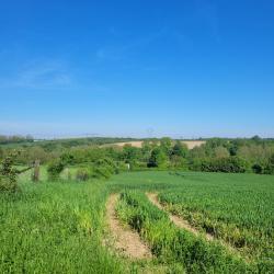 a reprendre territoire de chasse 248 ha