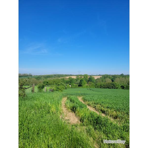 a reprendre territoire de chasse 248 ha