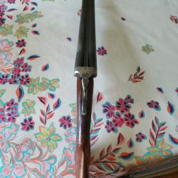 robust 220 cal 12/70