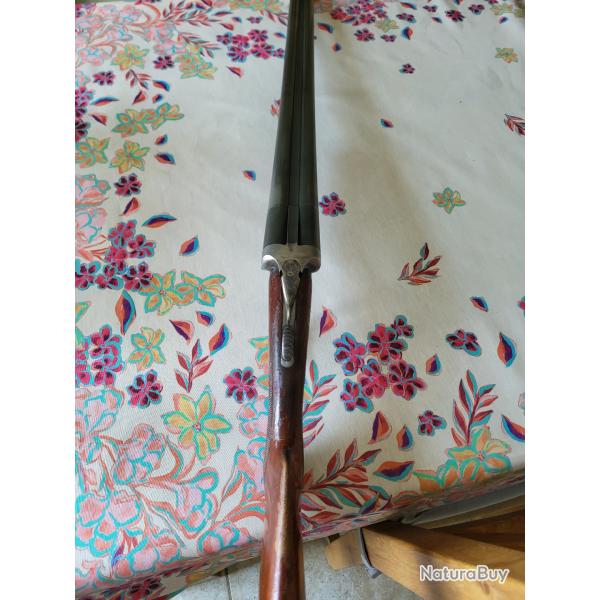 robust 220 cal 12/70
