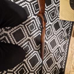 Superbe 22 lr