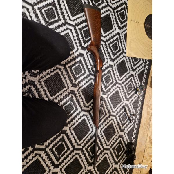 Superbe 22 lr