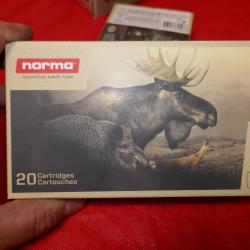 Boite de 20 cartouches NORMA PLASTIC POINT 30-06 Spring  11.7G/180GR