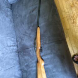 9mm flobert
