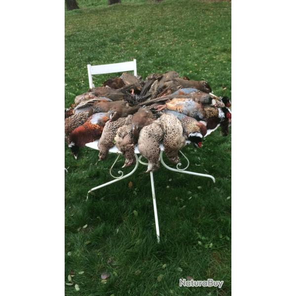 Chasse � la journ�e au petit gibier