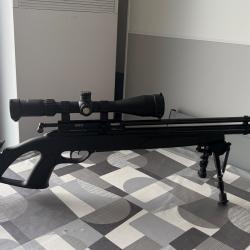 Carabine gamo coyote 19,9 joules