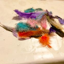 Lot plumes