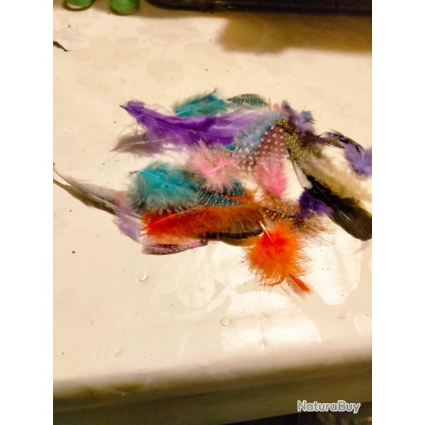 Lot plumes