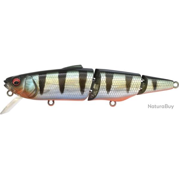SUWITCH - GG RED FIN PERCH (SP-C)