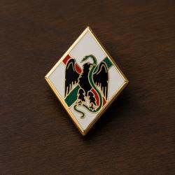 Insigne militaire L&eacute;gion &eacute;trang&egrave;re : 1er RE Regiment Etranger - Arthus Bertrand