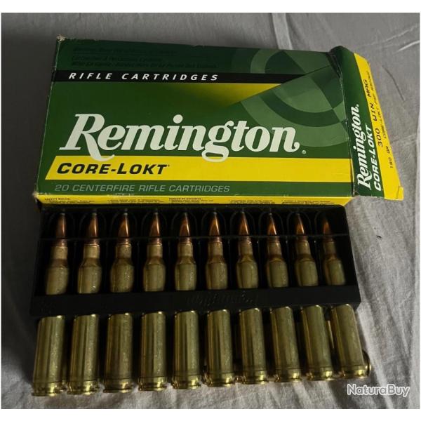Munition 300 winchester magnum core lokt