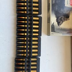 Balles 300 winchester norma et rws