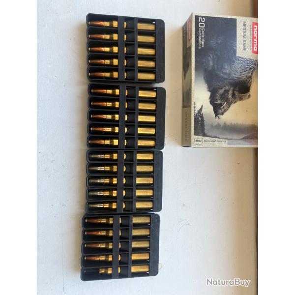 Balles 300 winchester norma et rws