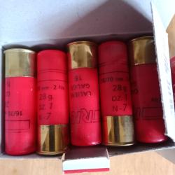 Munition 16/70 Rio 3 boite de 25