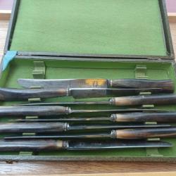 Ancien et rare service de 8 couteaux &agrave; manche en corne et virole argent massif