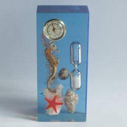 Sablier Thermom&egrave;tre R&eacute;sine inclusion coquillages crustac&eacute;s Mer