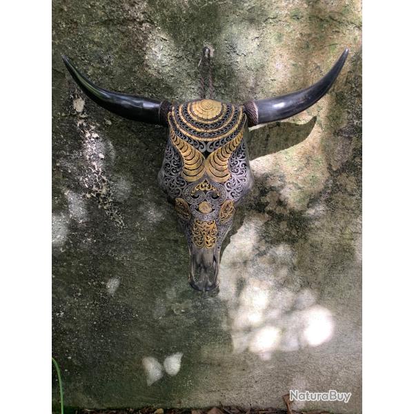 Vrai cr�ne de taureau, plaque d'or 24 carats