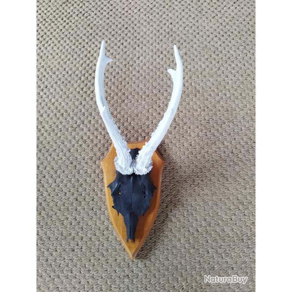 troph�e de brocard d�co