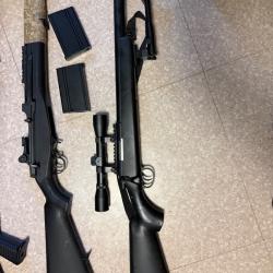 VSR10 Double eagle