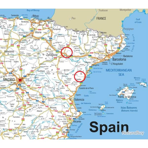 JOURN�ES DE DRESSAGE CHIENS SUR CAILLES (Coturnix-Coturnix) / ESPAGNE.