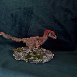 taxidermie dinosaure Pyroraptor figurine taxidermy dinosaur cabinet de curiosit&eacute; curiosit&eacute;