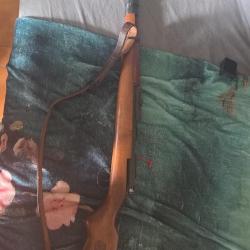 carabine Jw25 norinco