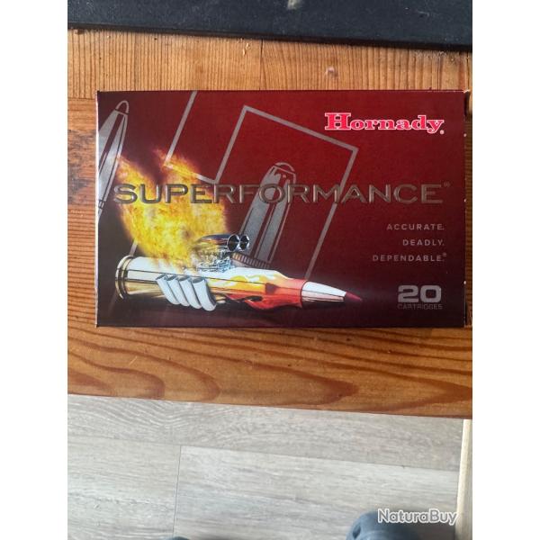 Balle Hornady 7x64