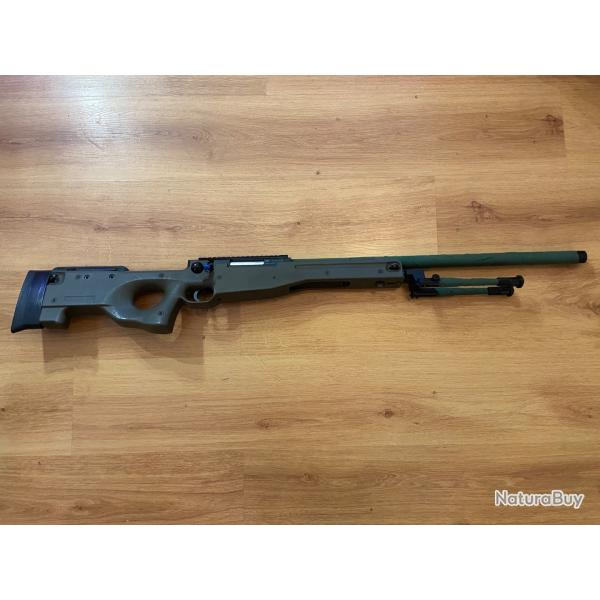 Asg aw308/l96