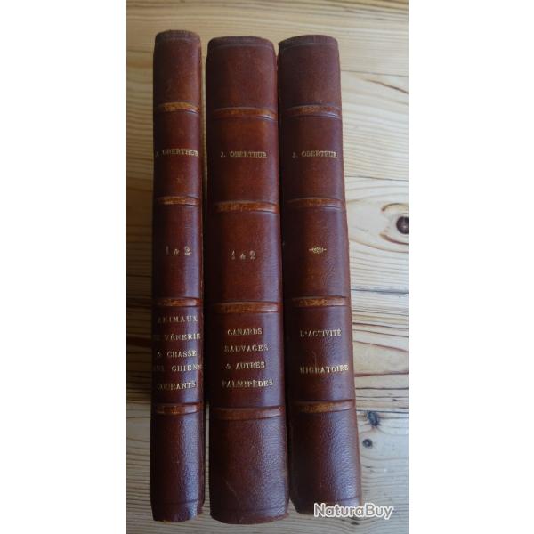 Trois livres reli�s de Joseph Oberthur , L'activit� migratoire, Canards1&2, V�nerie 1&2