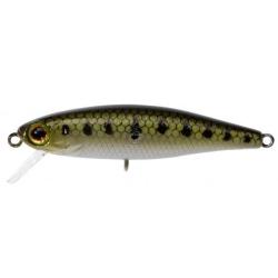 Leurre Illex Tiny Fry 50 SP Goujon