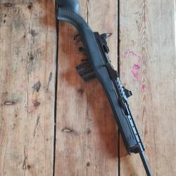 Ruger mini 14 cat C
