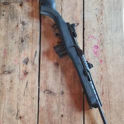 Ruger mini 14 cat C