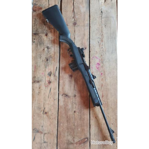 Ruger mini 14 cat C