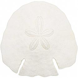 Test d'oursin pancake blanc - 12 &agrave; 14 cm - A l'unit&eacute;