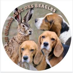 Autocollant pour v&eacute;hicule - Beagle et li&egrave;vre