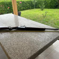 Carabine semi automatique winchester 270 WSM