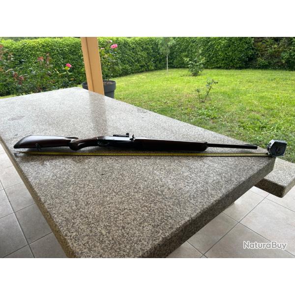 Carabine semi automatique winchester 270 WSM