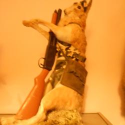 li&eacute;vre customis&eacute; (anti-chasseur)