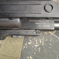 Carabine Swiss arms 5.5mm