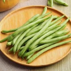 Graines haricots.