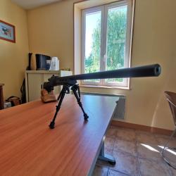 Carabine REMINGTON 700 SPS VARMINT 243 winchester