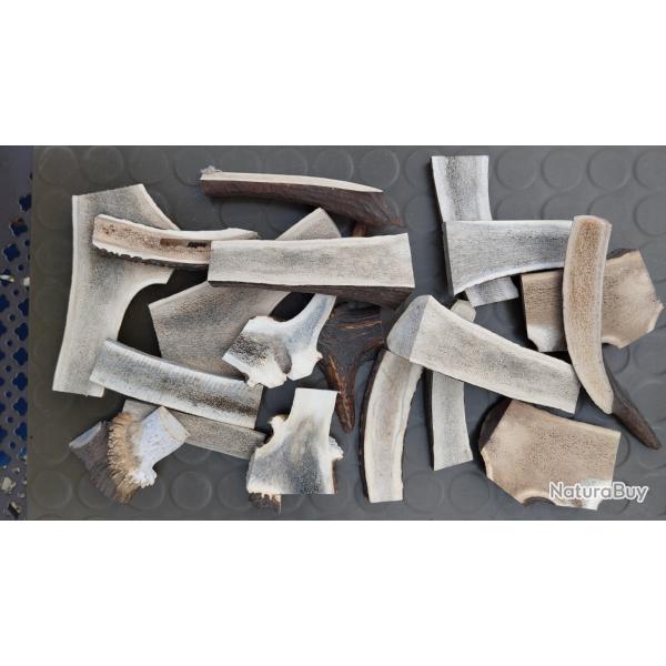 Chutes de bois de cerf � rogner pour chien